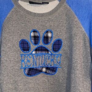 Gray and Blue Women's Sweatshirt